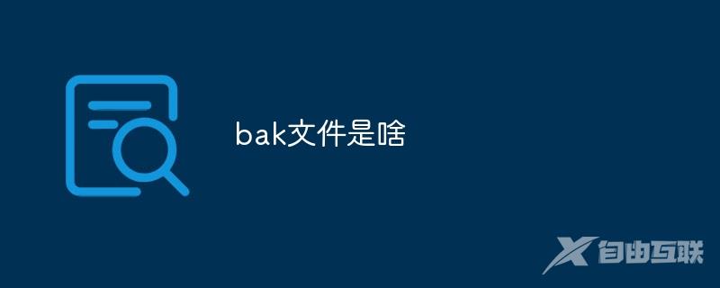 bak文件是啥