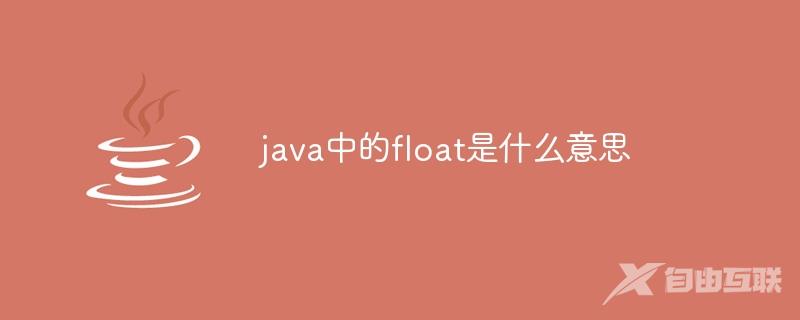 java中的float是什么意思