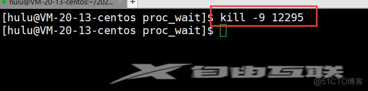 [ Linux ] 进程控制(下)----进程等待与进程程序替换_#include_03
