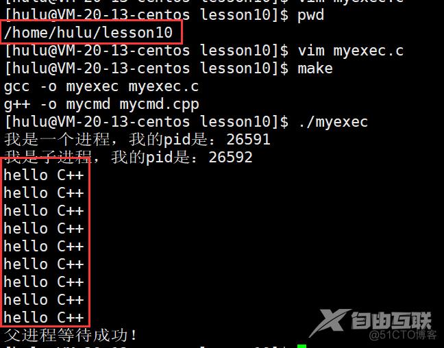 [ Linux ] 进程控制(下)----进程等待与进程程序替换_linux_31