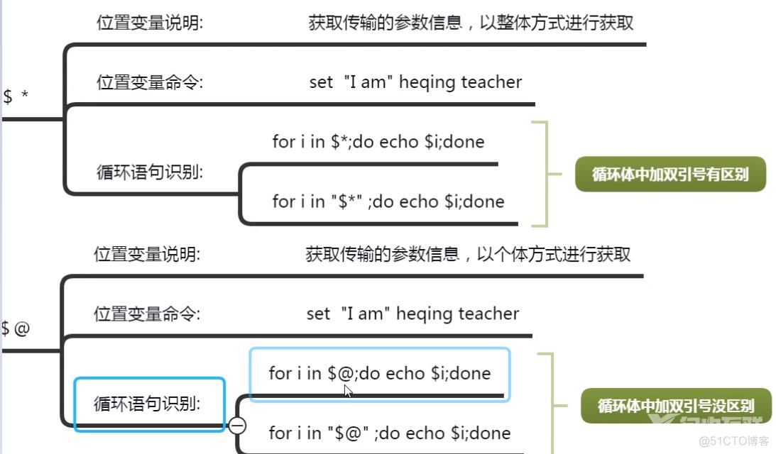 shell变量执行机制_双引号_14