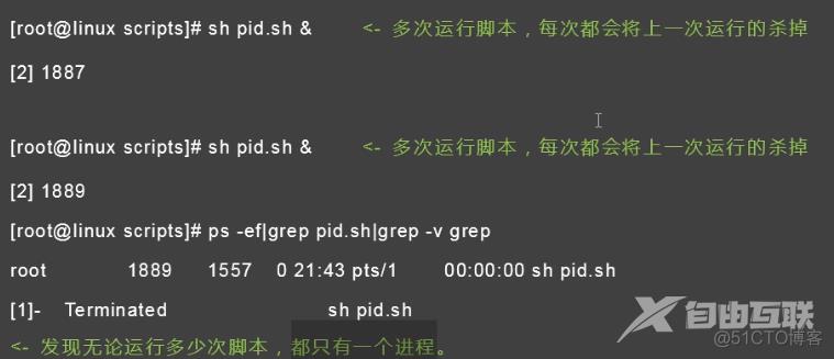 shell变量执行机制_双引号_21