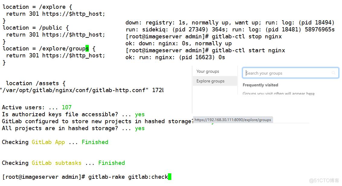 GitLab缓存问题_nginx_02