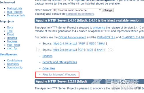 Server_如何从Apache官网下载windows版apache服务器;_服务器_03