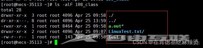 【Linux基本指令（1）】几十条基本指令快速入手Linux_文件名_04