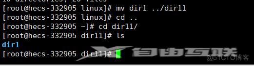 【Linux基本指令（2)】几十条指令快速入手Linux_深入理解什么是指令_搜索_05