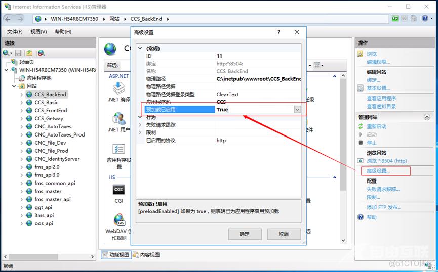 .net core iis 配置 (防止iis休眠)_配置