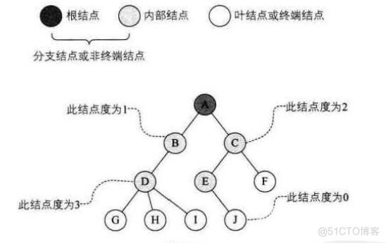 【数据结构】树_结点_05