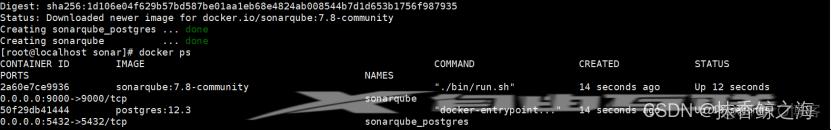 Docker-compose部署SonarQube服务_docker_02