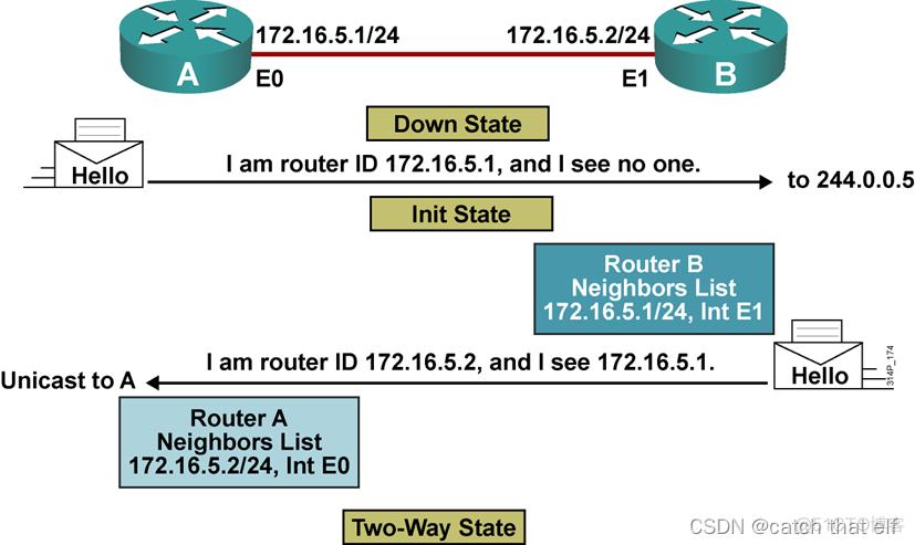 HCIA网络基础12-OSPF协议_字段_05