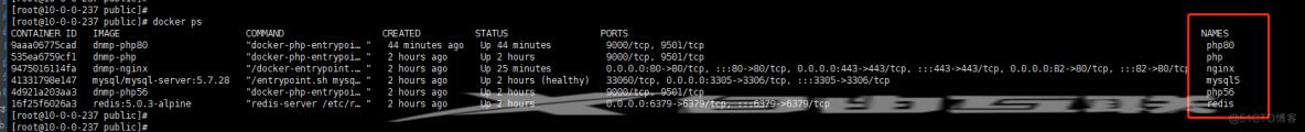 SwiftAdmin 框架 webman 配置 nginx 代理不正确问题_mysql_03