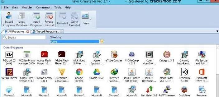 Revo Uninstaller Pro使用评测