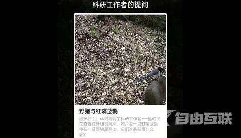 支付宝福寿保护地巡护答案是什么