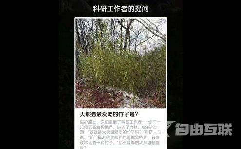 支付宝福寿保护地巡护答案是什么