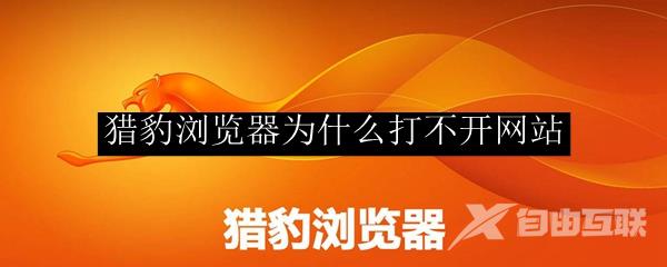 猎豹浏览器为什么打不开网站