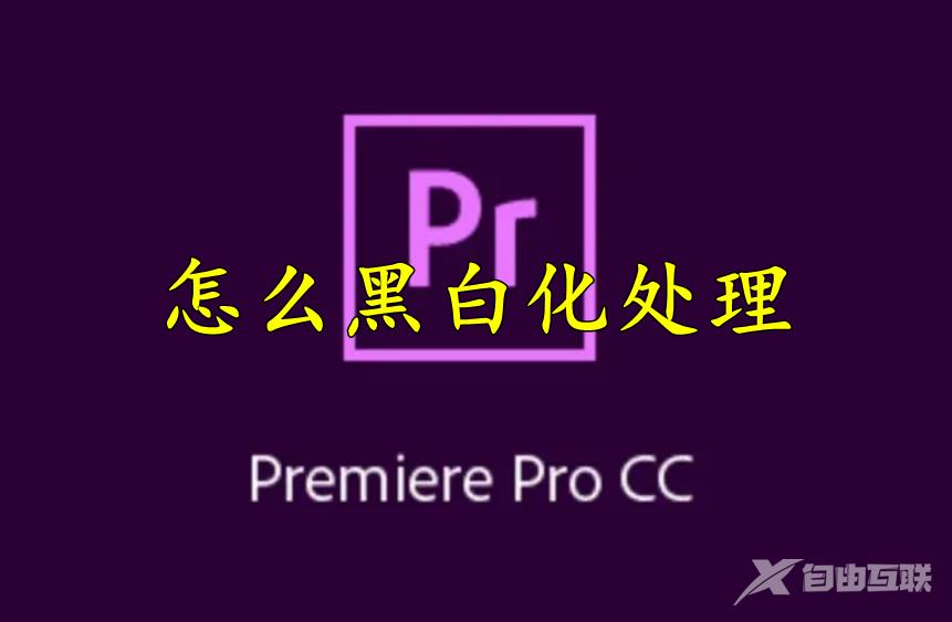 premiere怎么黑白化处理