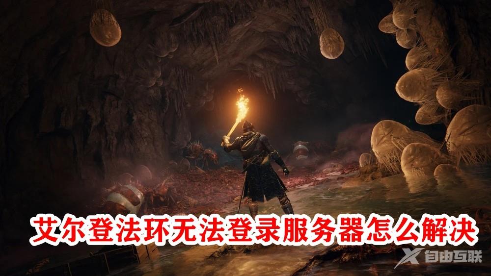 艾尔登法环无法登录服务器怎么解决