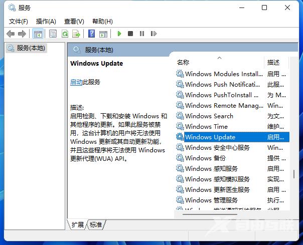 win11自动更新怎么关