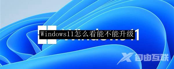 Windows11怎么看能不能升级