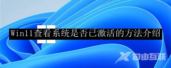 Win11查看系统是否已激活的方法介绍