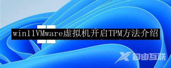 win11VMware虚拟机开启TPM方法介绍