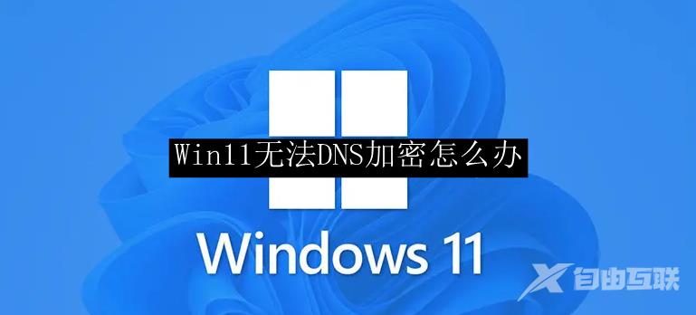 Win11无法DNS加密怎么办