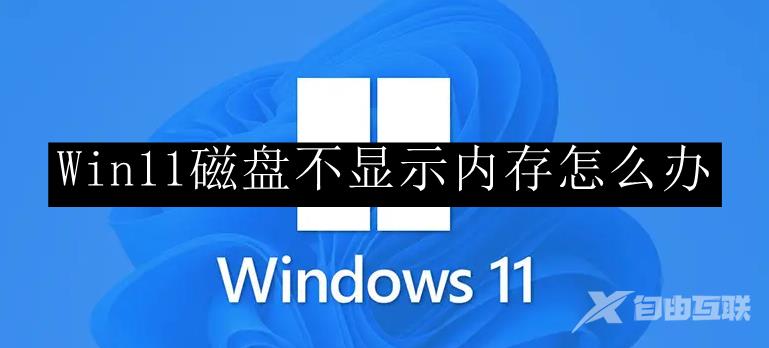 Win11磁盘不显示内存怎么办