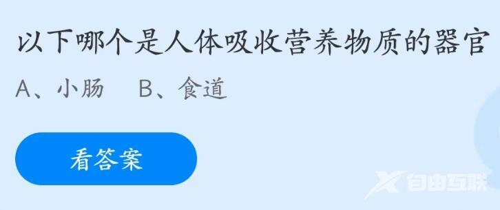 支付宝蚂蚁庄园5月31日答案最新