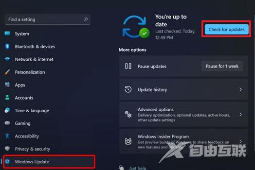 我安装了win11是否能自动更新详情