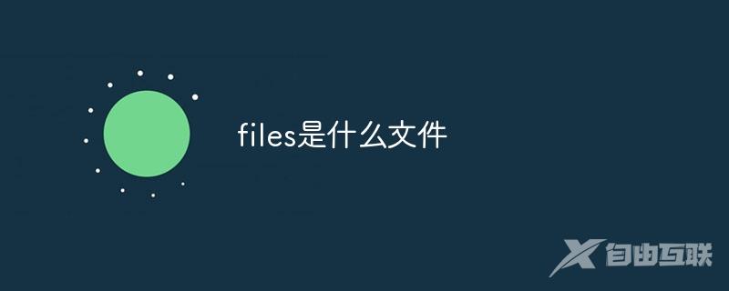 files是什么文件