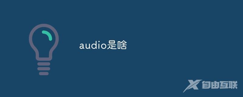 audio是啥