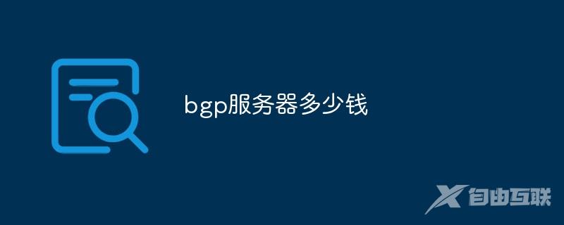 bgp服务器多少钱