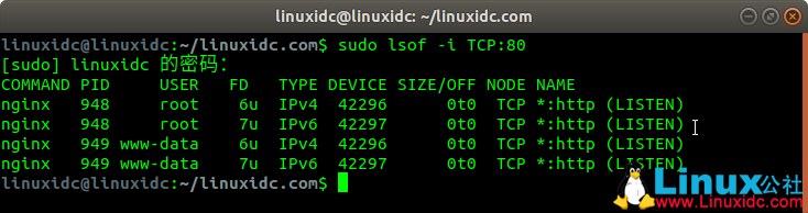 lsof命令 - 找出谁在Linux中使用文件