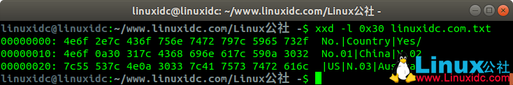 Linux xxd命令入门示例教程