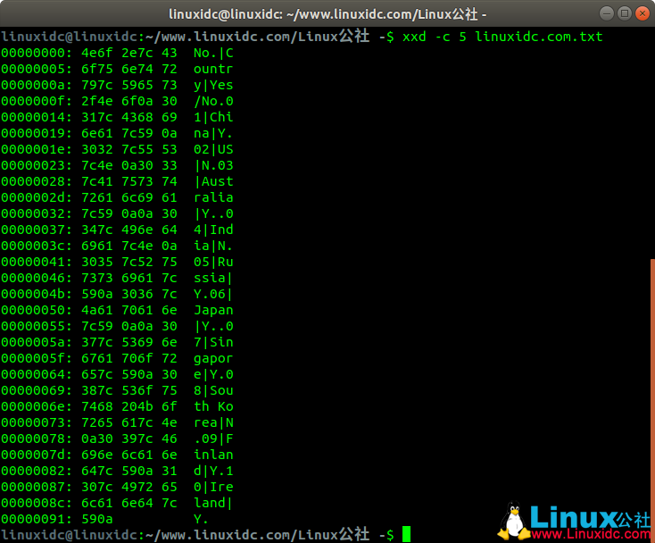 Linux xxd命令入门示例教程