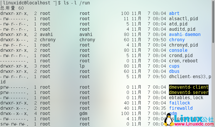 如何在Linux中使用ls命令按大小对所有文件进行排序