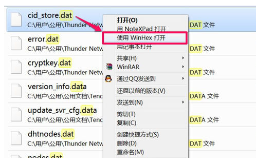 Win10专业版dat文件打开方法