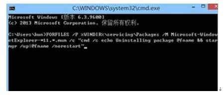 Windows8.1系统卸载IE11浏览器失败的处理方法