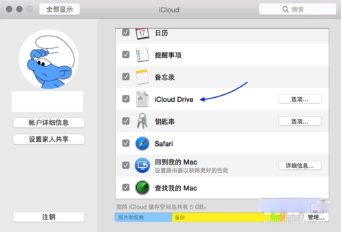 iCloud Drive