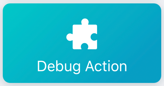 Workflow: Debug Action