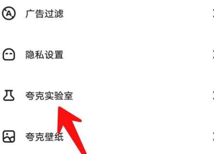 夸克浏览器的夸克彩蛋如何玩？夸克浏览器玩夸克彩蛋的具体方法截图