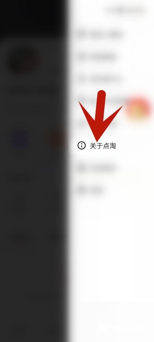 点淘怎么更新版本?点淘更新版本教程截图