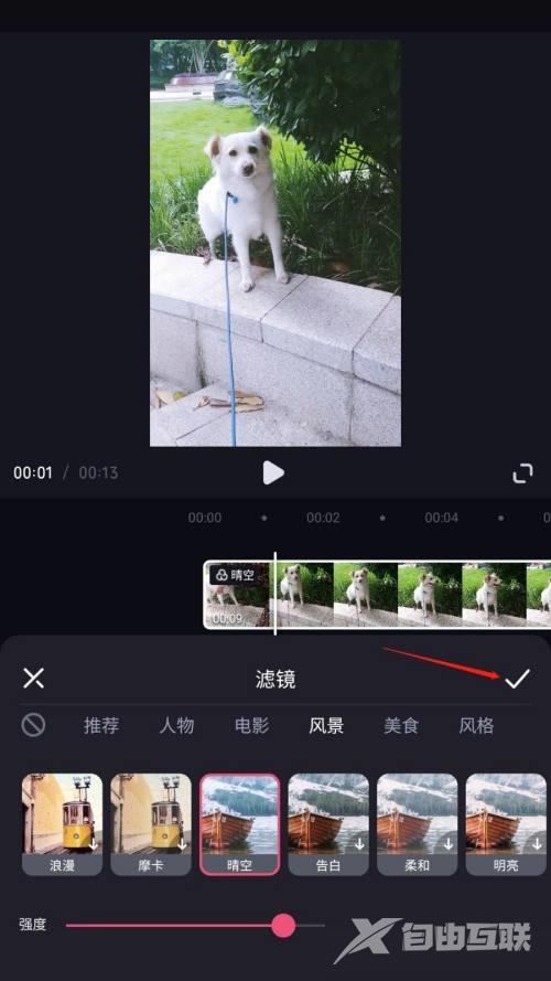 必剪怎么添加滤镜？必剪添加滤镜教程截图