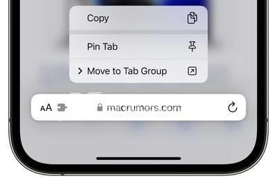iPhone14pro如何在Safari中固定标签插图5