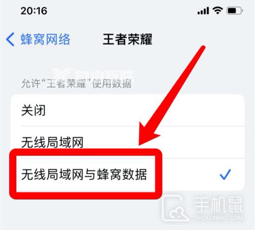 iPhone 14 Pro玩王者荣耀网络不稳定怎么办插图9