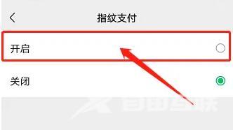 vivo X Fold+微信指纹支付设置方法插图7