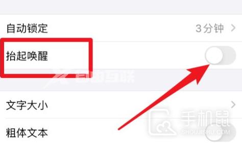 iPhone 14 plus抬起唤醒屏幕设置方法插图5