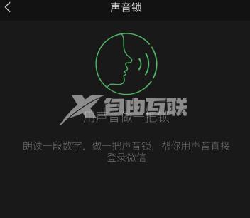 iPhone 14 Pro Max微信声音锁设置方法插图7