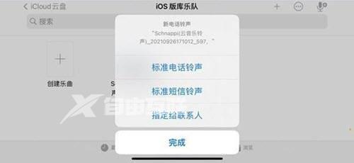 苹果14使用网易云音乐设置铃声教程插图11