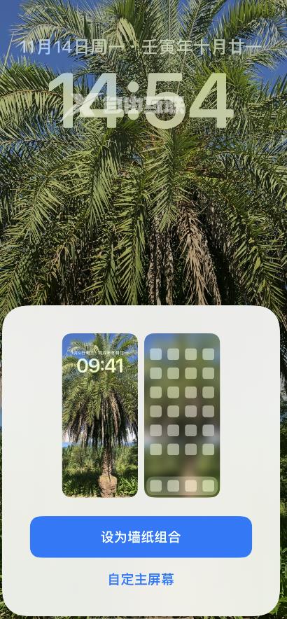 ios16设置主屏幕壁纸和锁屏壁纸的方法插图11